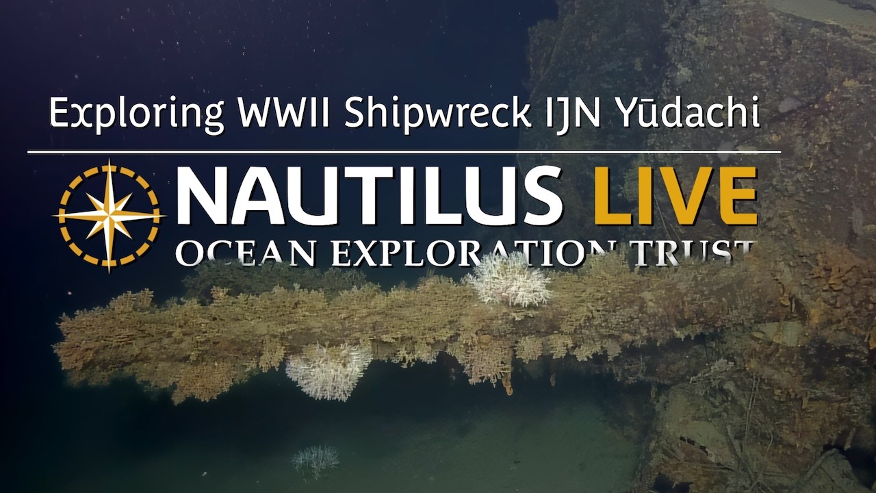 Exploring WWII Shipwreck IJN Yūdachi | Nautilus Live