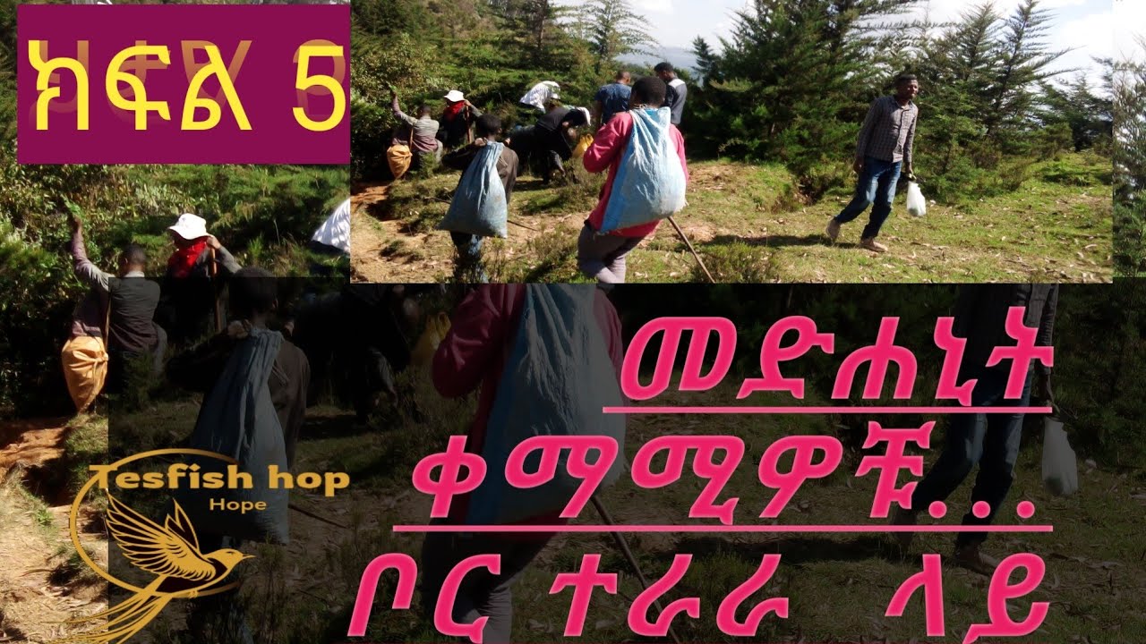 የቦር ተራራ መድሐኒት ቀማሚዎቹ (ሳሞ ኤታ ዘብሔረ የም ክፍል 5)  እውነተኛ ታሪክ