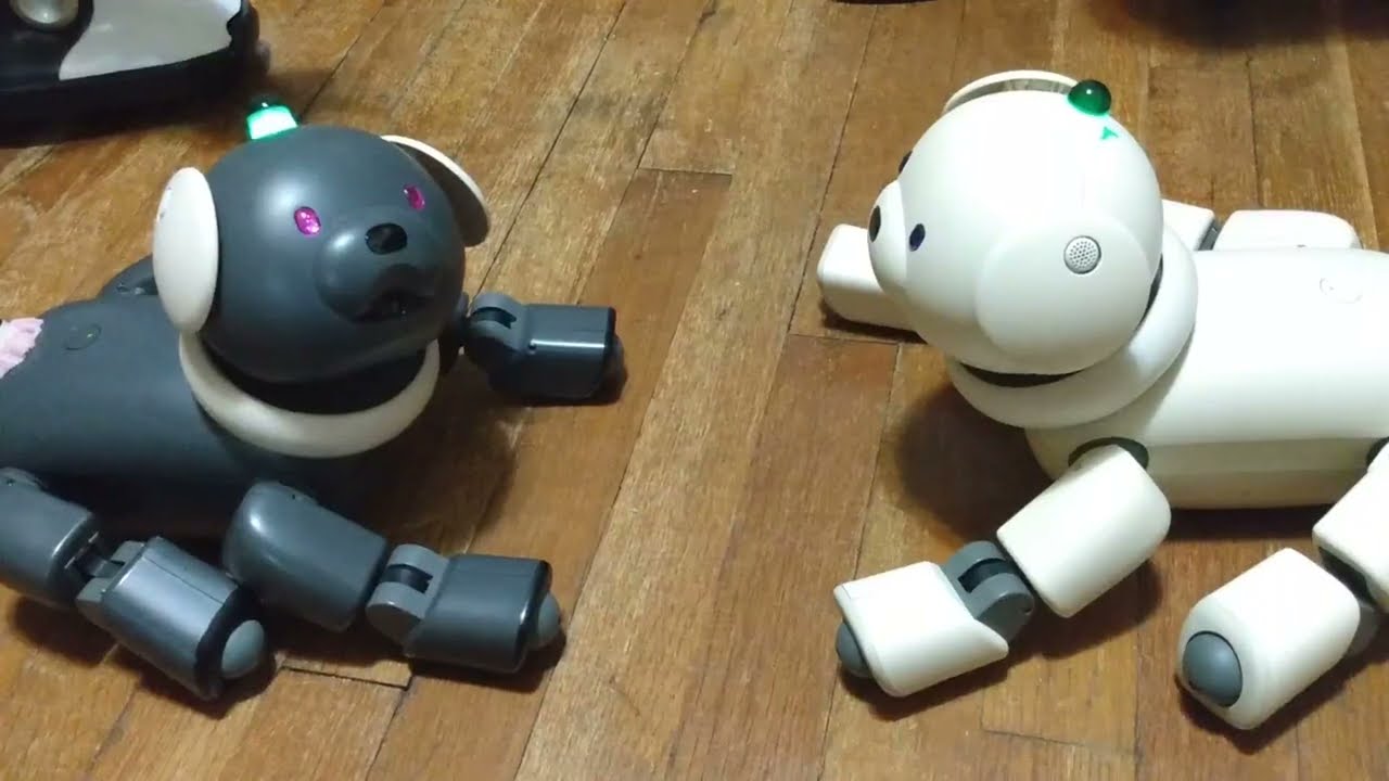 Astro and Miracle, 
