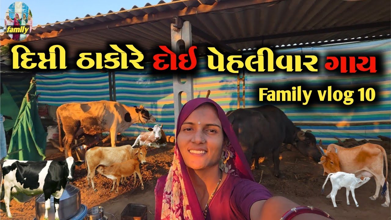 દિપ્તી ઠાકોરે દોડી પહેલીવાર ગાય || Dipti Thakor new family volg vidio || Arjun Thakor Gabbar Thakor 