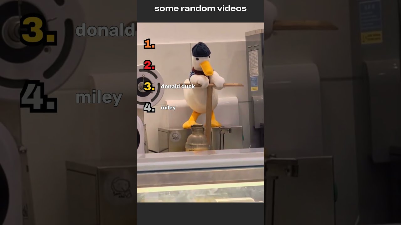 some random funny`s videos 
