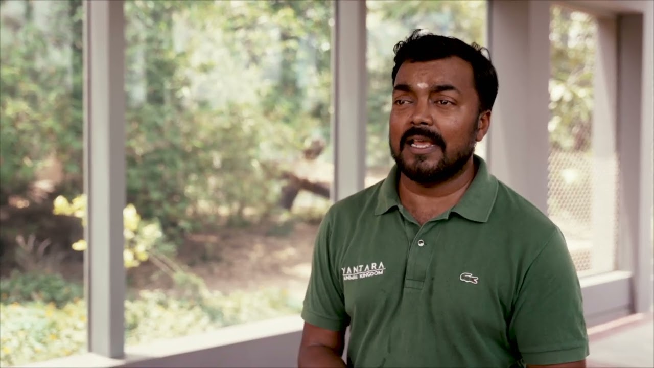 Vantara Sanctuary Stories S1E1 | The Heart of Vantara: Lives Transformed