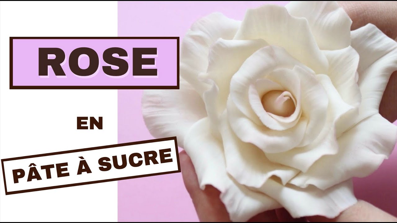 🌹GRANDE ROSE EN PÂTE À SUCRE 🌹 / BEAUTIFUL GUMPASTE ROSE TUTORIAL