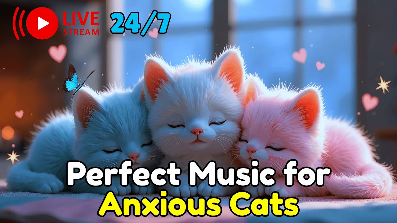 Piano Music for Cats That Creates Calm Energy and Reduces Stress During Sleep Time