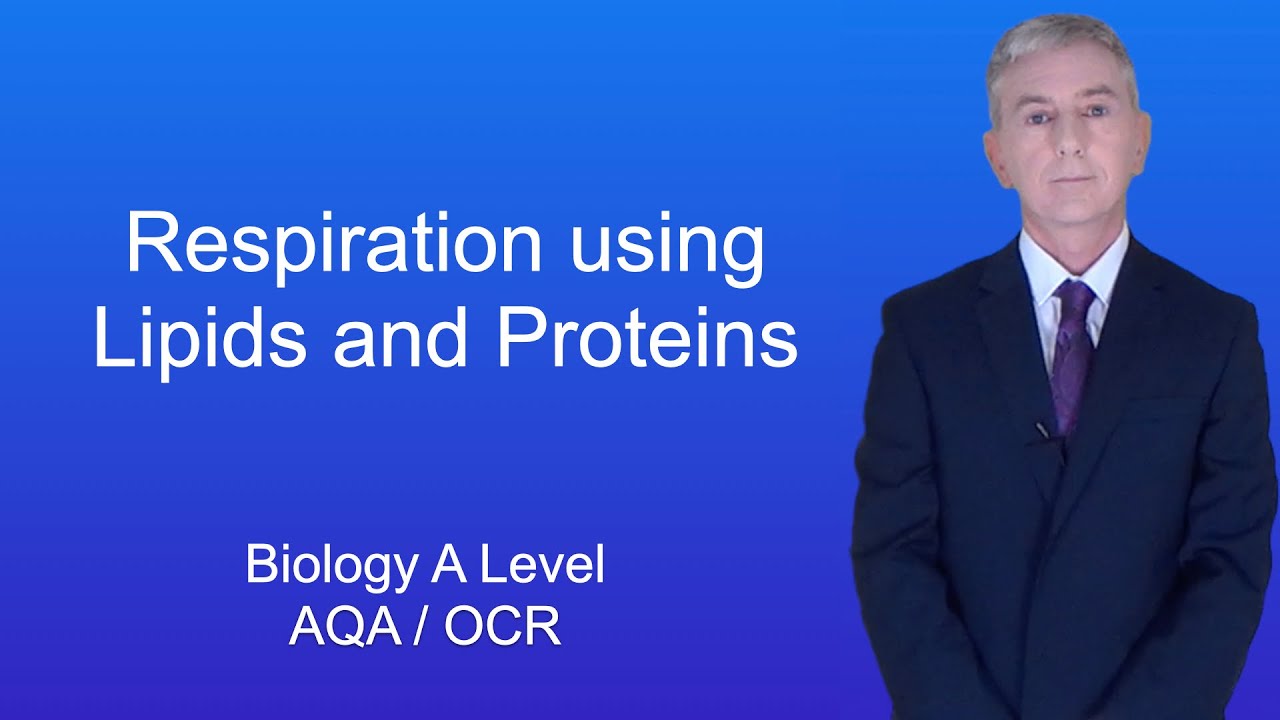 A Level Biology Revision 