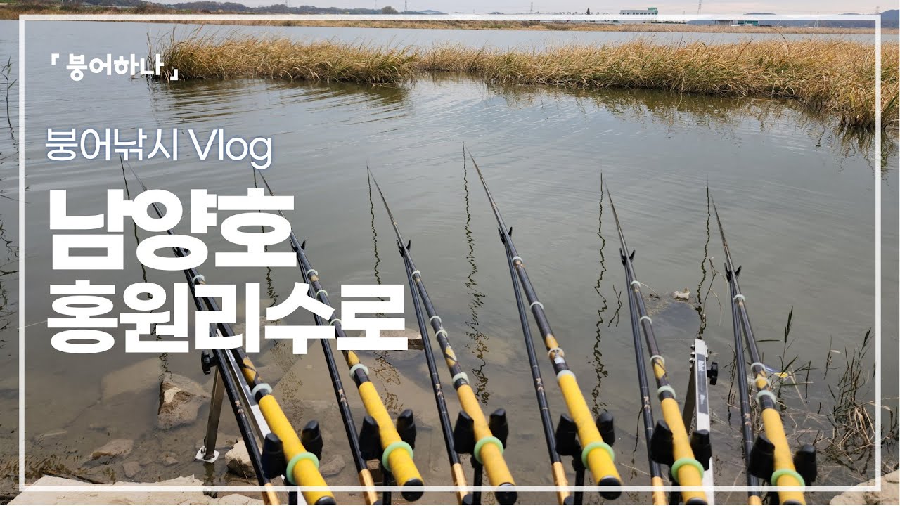 남양호 홍원리수로 참 오랫만에 답사 겸 짬낚 붕어낚시 나왔습니다
