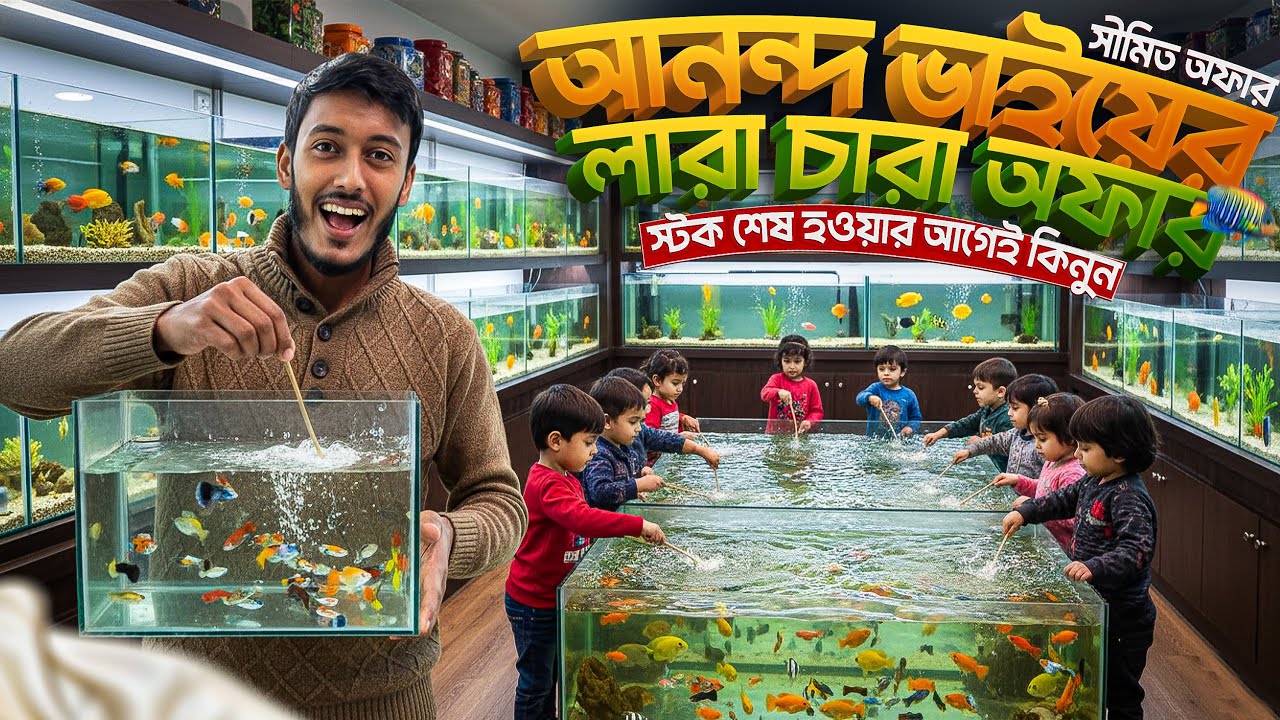আনন্দ ভাইয়ের লারা চারা অফার | Aquarium fish price in Bangladesh | Anondo & Pets 