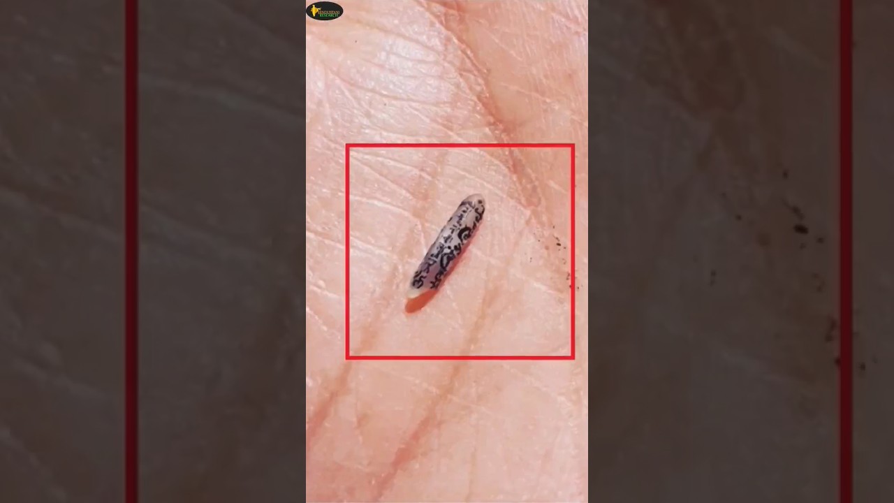 Fact About Smallest Writing On A Grain Of Rice | Hindustani Research | #fact #viral #shorts #short