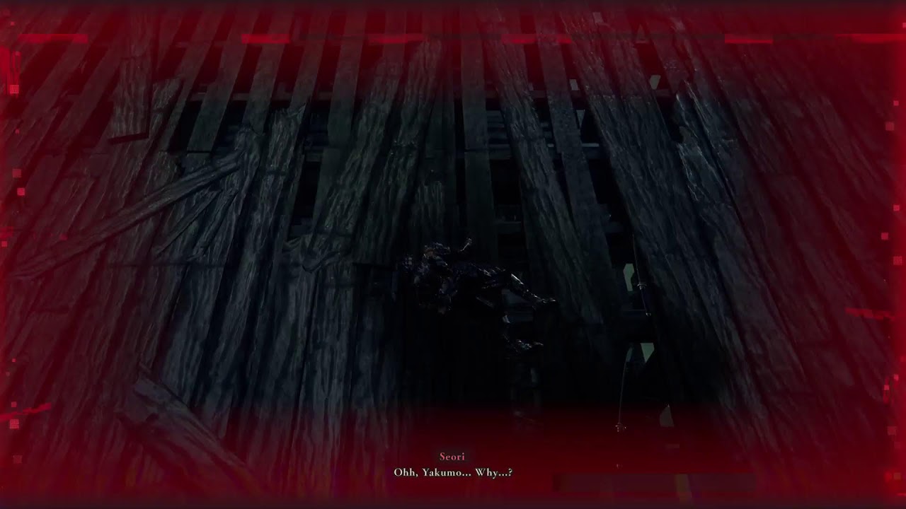 Ninja Gaiden 4 #5