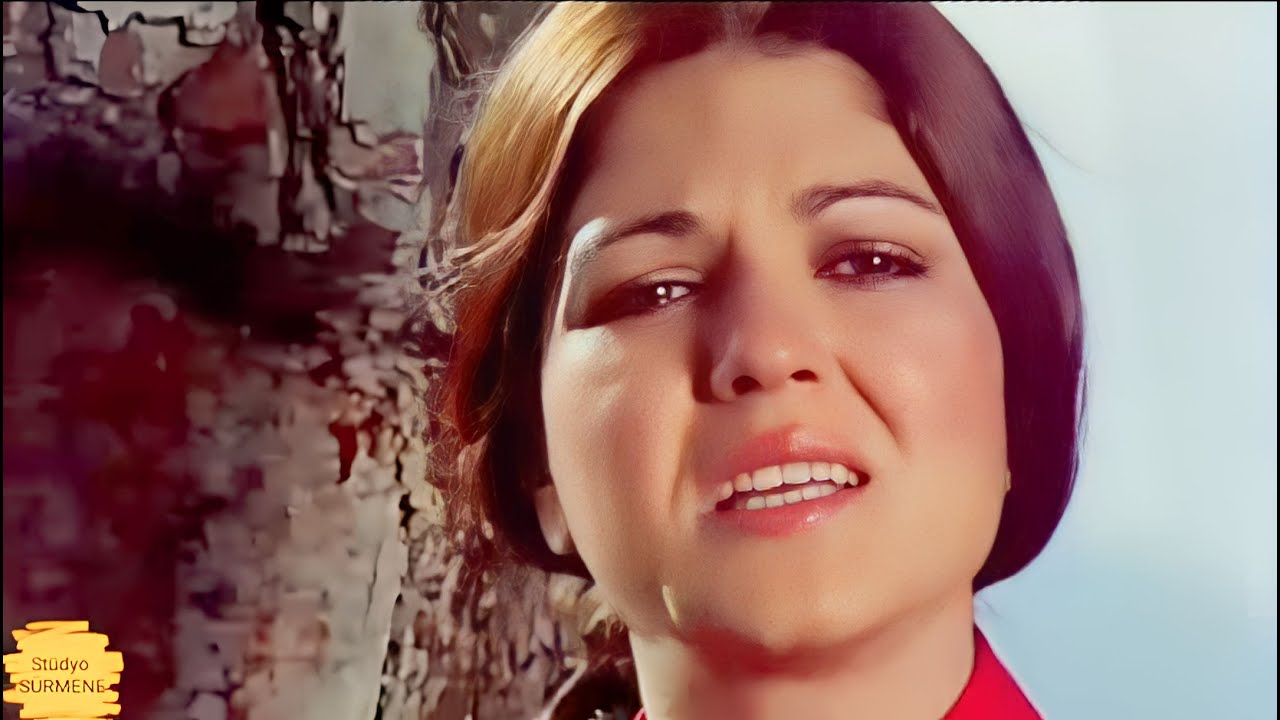 GÜLDEN KARABÖCEK / Kır Çiçekleri ( Güçlü Ses Kalite )