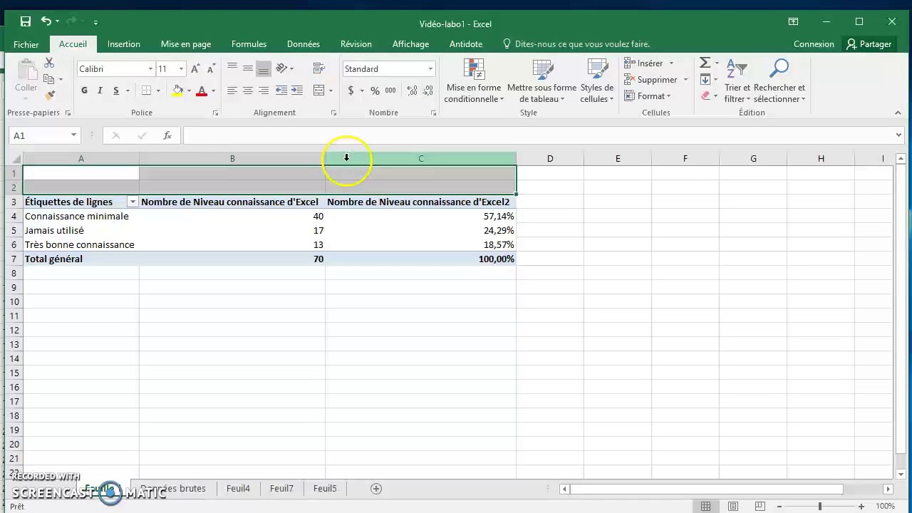 Tableau croisé dynamique pour une variable qualitative, Excel 2016