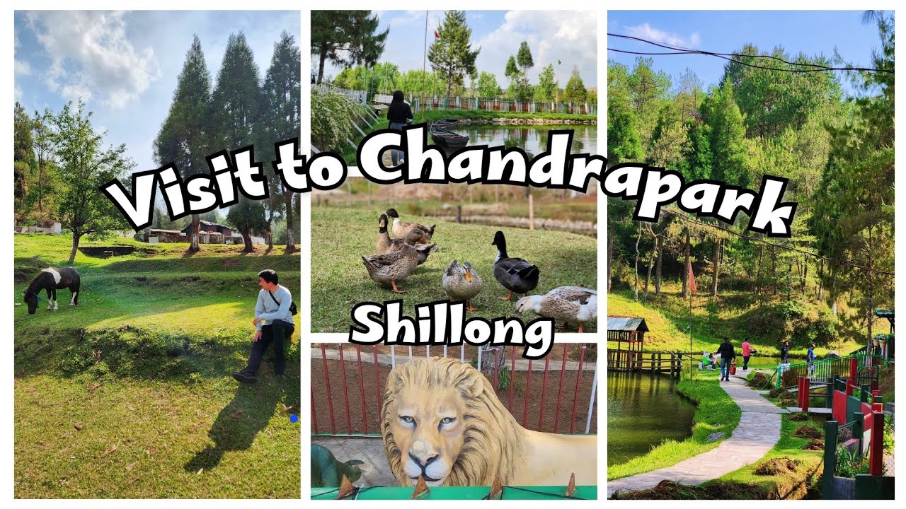 chandra park | shillong