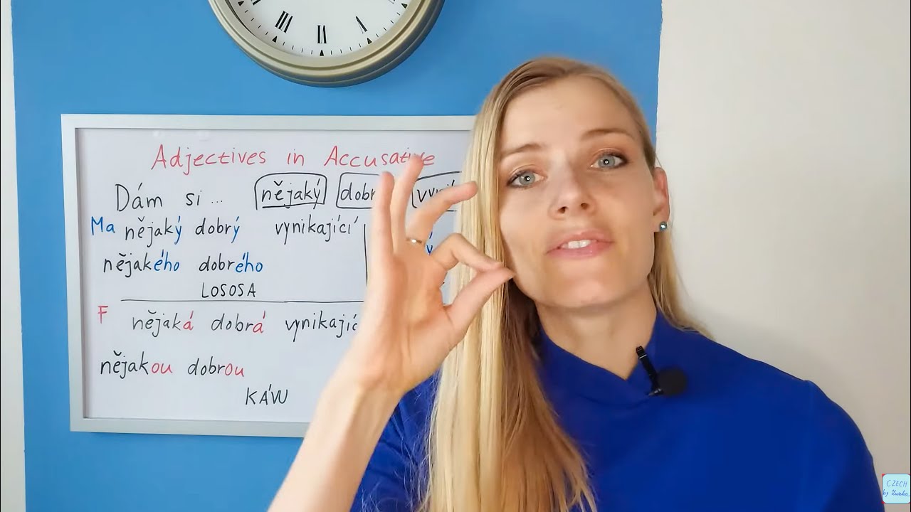 Czech Cases: Accusative for Adjectives