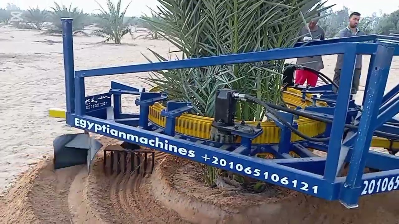 ماكينه تحويض النخيل حراثه أحواض النخيل تسميد النخيل الخدمه الشتويه افضل طريقه تحويض  00201065106121