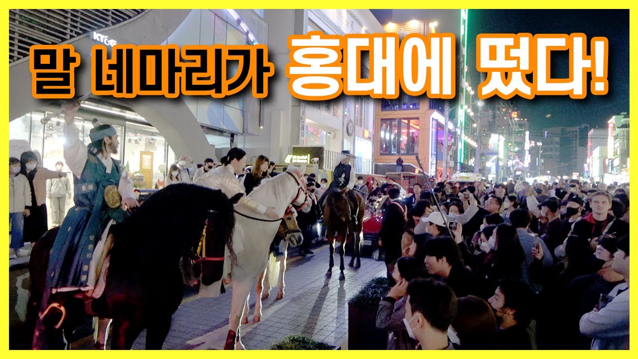 말4마리가 도로를 달린다? l 말달리자