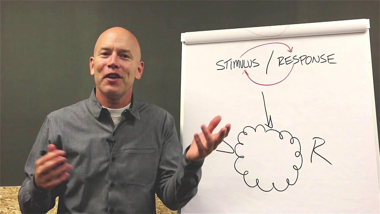 Stimulus & Response