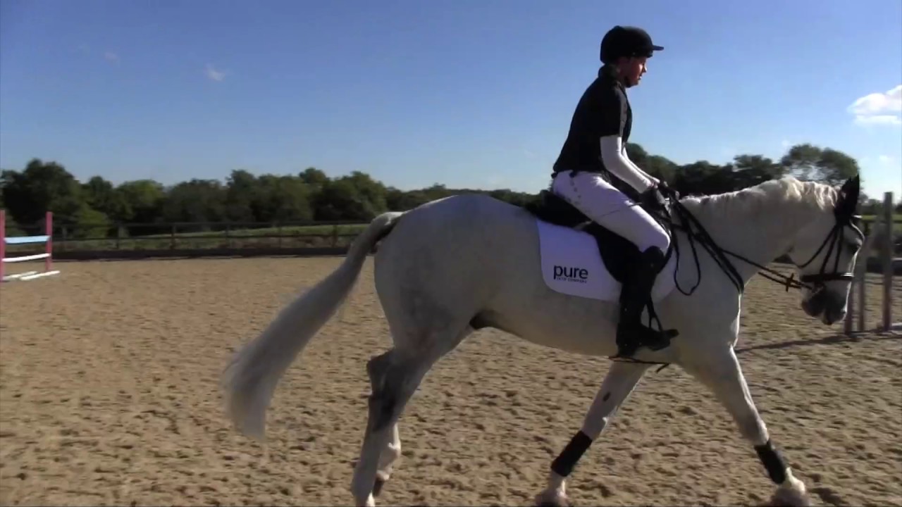 How to build jumping confidence with Gridwork and Jock Paget | Horse&Rider