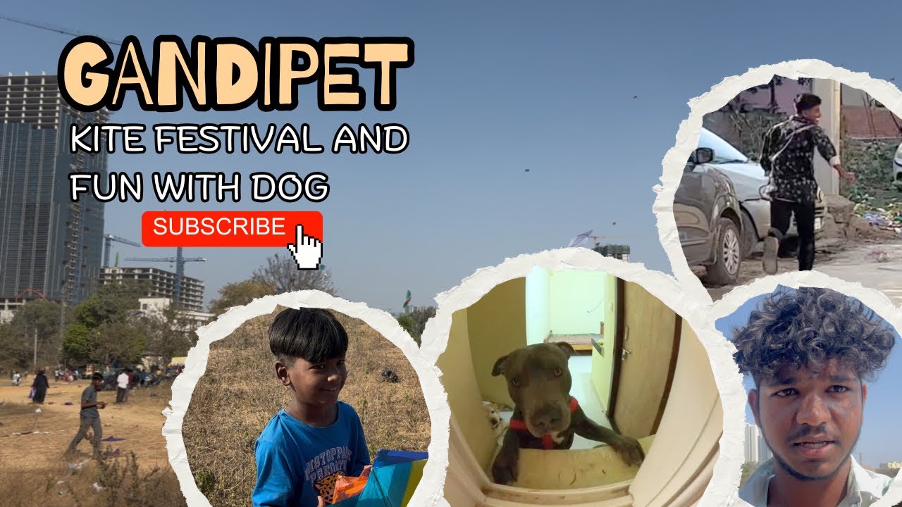 Gandipet kite festival 😳! Fun with dog 😂!#gandipet #kitefestival #pitbull 