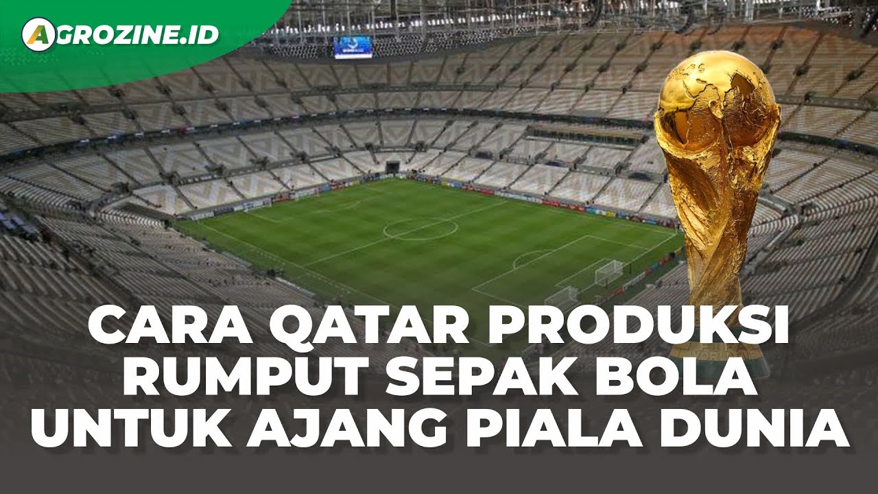 Rahasia Agar Tuan Rumah Piala Dunia Bisa Produksi Rumput untuk Lapangan Sepak Bola di Ajang Dunia
