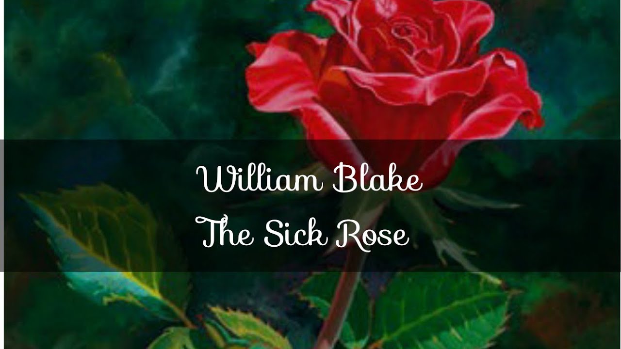🌹An Introduction to Literature  -  William Blake - The Sick Rose