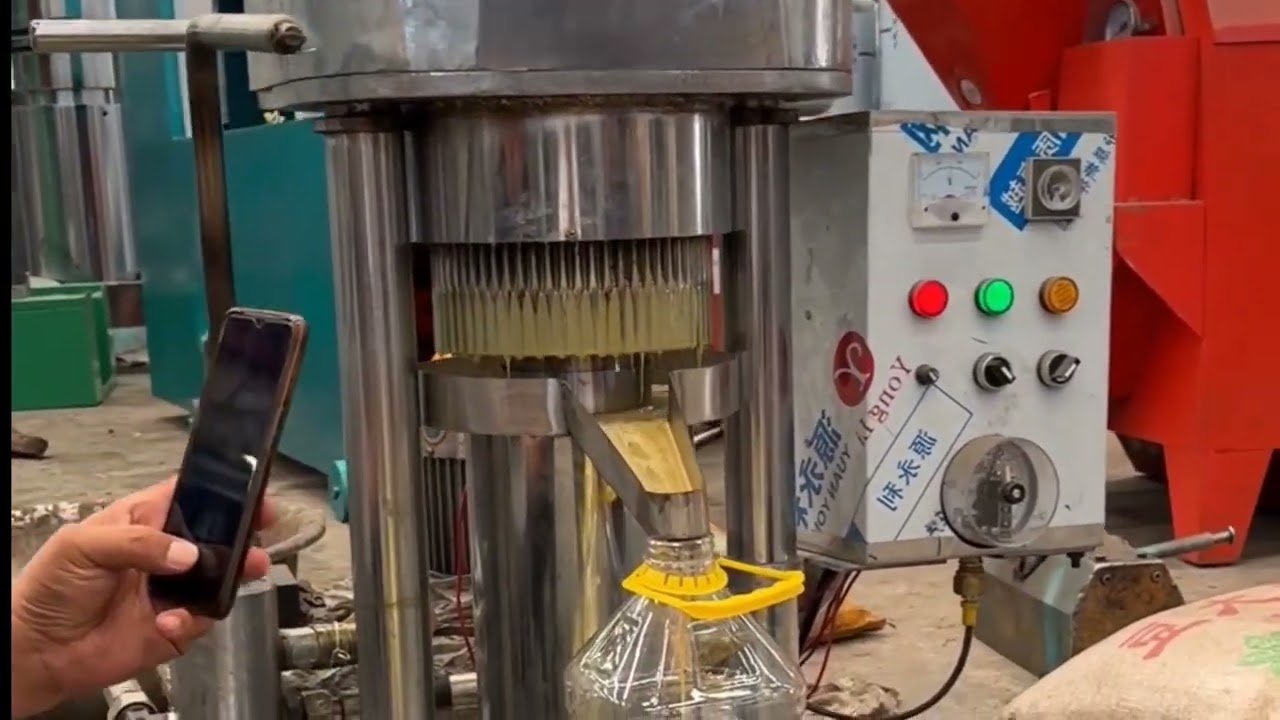 Hydraulic oil press #sesameseed #sesame #walnut #oilpress #machine #fyp