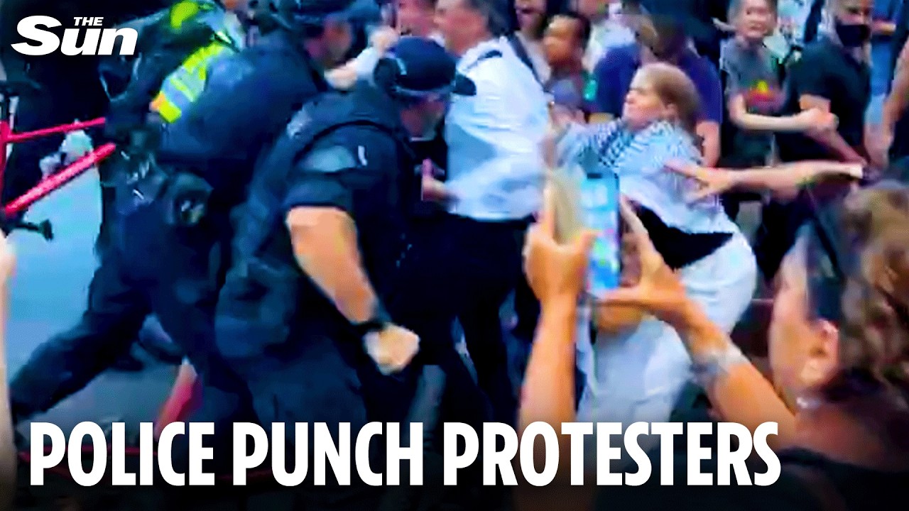 Moment cops PUNCH protester REPEATEDLY in&nbsp; pro-Palestine demonstration over Israel president's visit