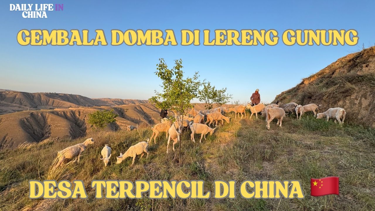 GEMBALA DOMBA DENGAN KAKEK DAN NENEK DI LERENG GUNUNG | DESA TERPENCIL DI CHINA 🇨🇳