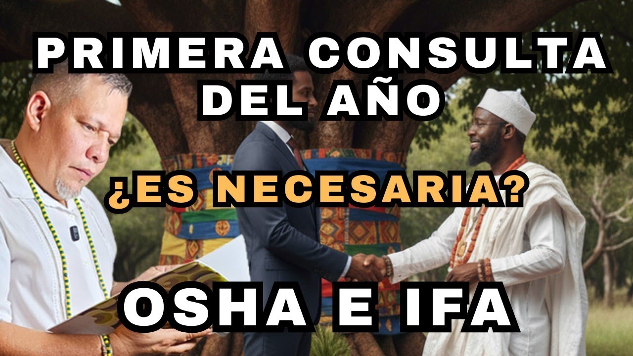 es IMPORTANTE que lo SEPAS, la primera CONSULTA de IFA vale la PENA