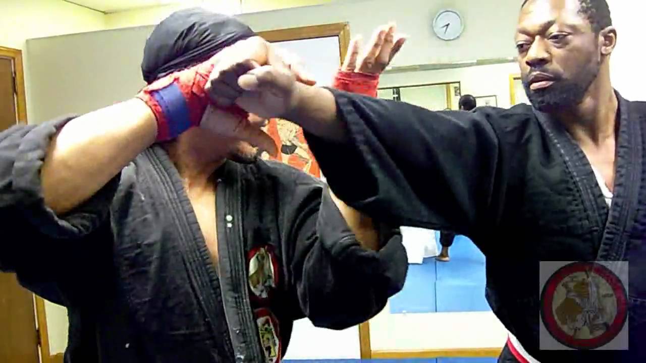Sanuces Ryu Jiu Jitsu Techniques part3