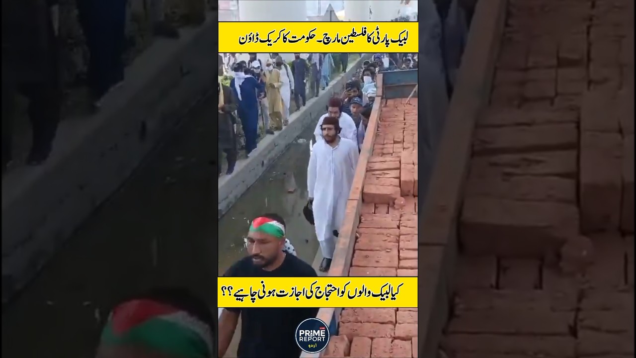Breaking News From Live Lahore TLP today Protest updates #live #Lahore