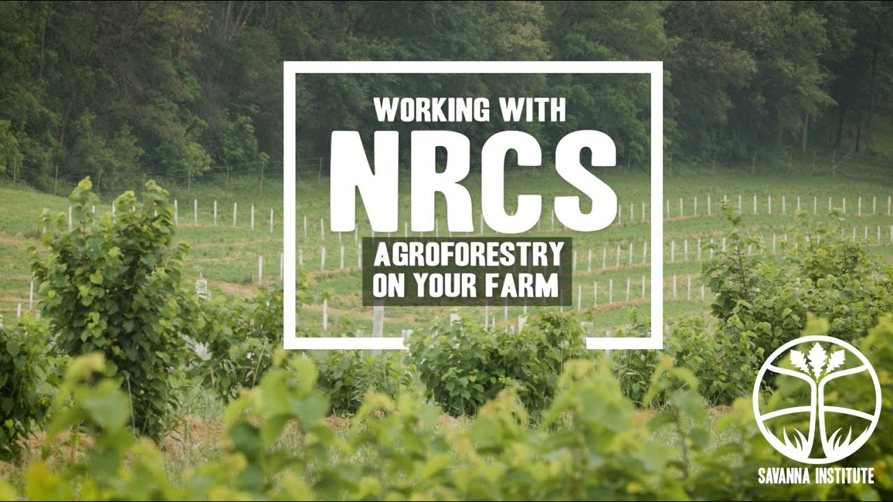 Working with NRCS | Agroforestry On Your Farm