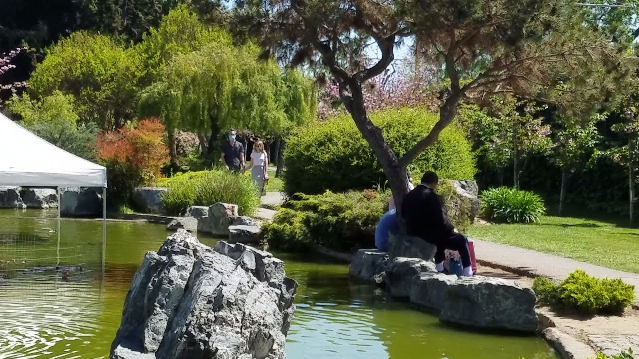JAPANESE FRIENDSHIP GARDENS IN SAN JOSE CALI USA