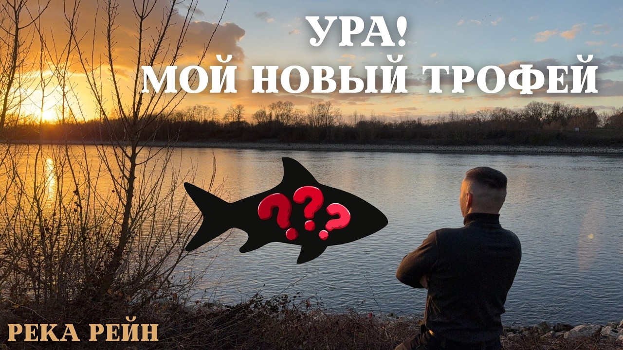 Мой новый Трофей! Это лучше чем ничего.