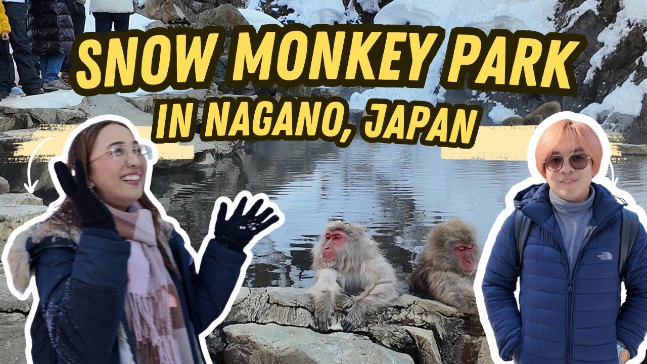 Journey to Japan&rsquo;s Snow Monkey Park &ndash; A Trek Worth Taking