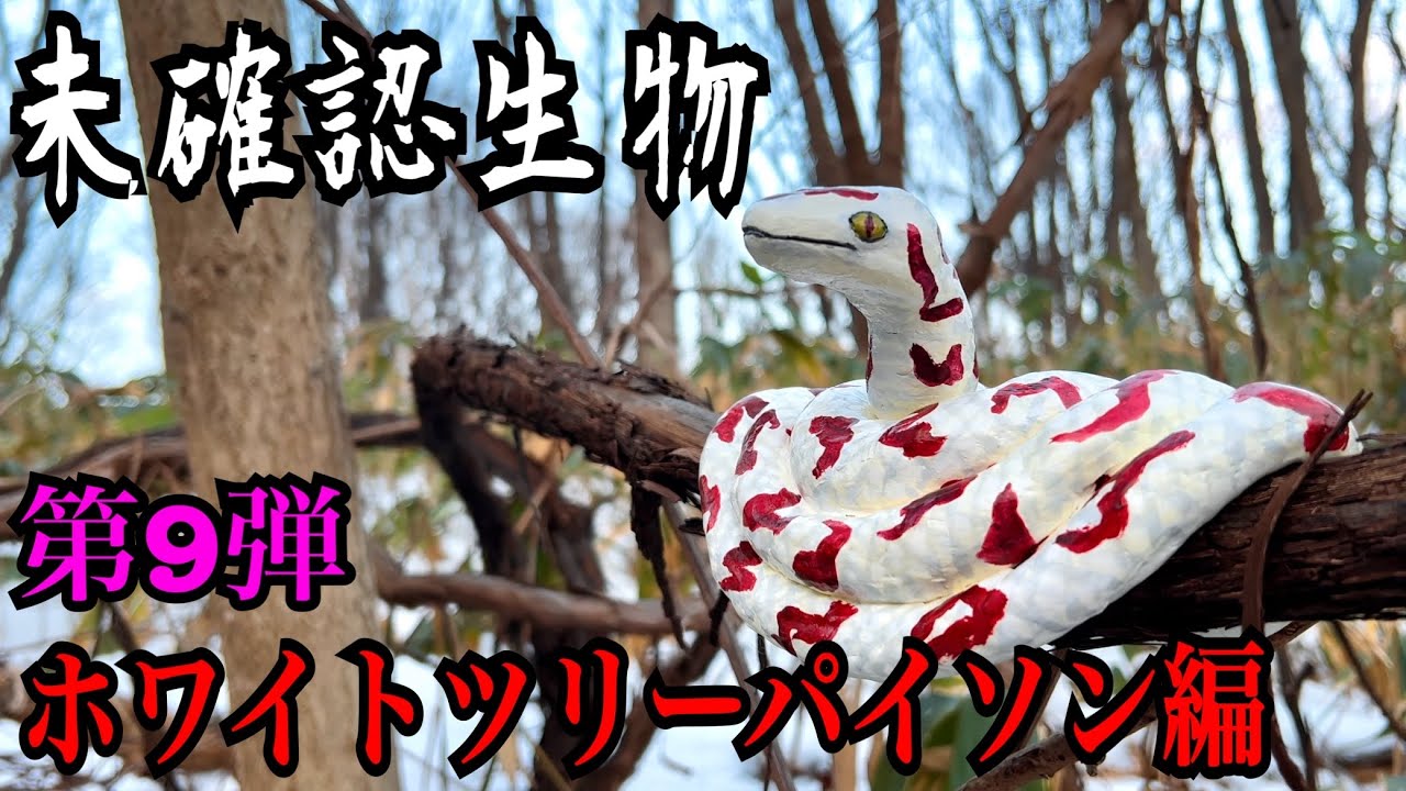 【未確認生物】ホワイトツリーパイソン見つけるまで帰れません！！！