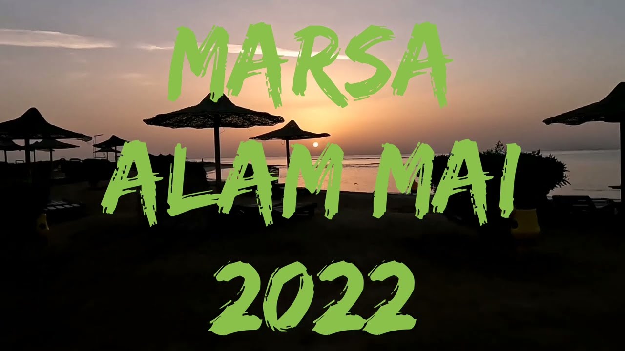 Marsa Alam 2022, Hotel Shams Alam Riff ☀️🐬🦀🐟