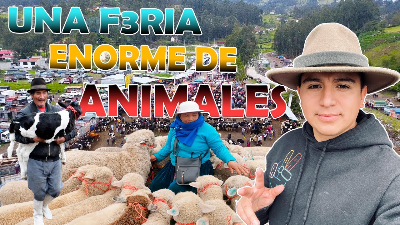 LA F3ERIA DE AN1MAL3S MAS GRANDE DE LA PROVINCIA DE CA&Ntilde;AR I GEO LEMA
