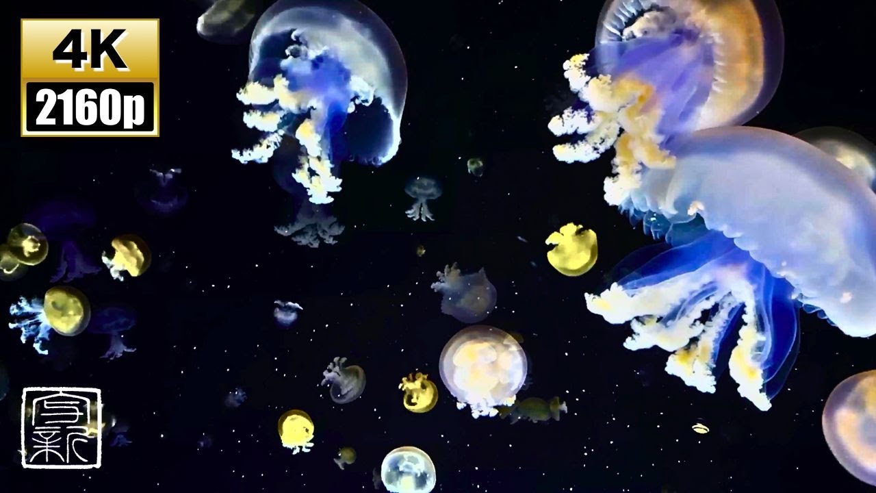 Ambient 🧘🏼&zwj;♂️ Cosmic Relaxation ✨ Interstellar Journey into the Deep Space 💫 [4K UHD/12HRS]