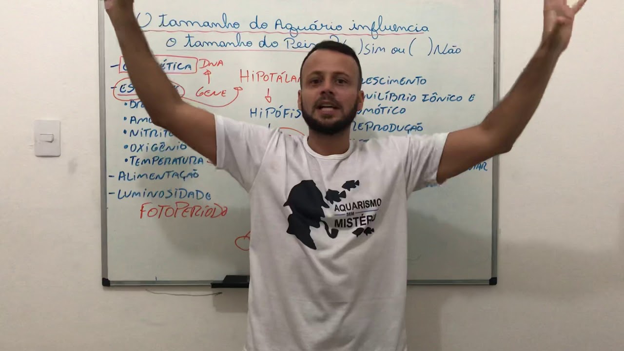 O tamanho do aquário influencia o tamanho do peixe?🤔🤔