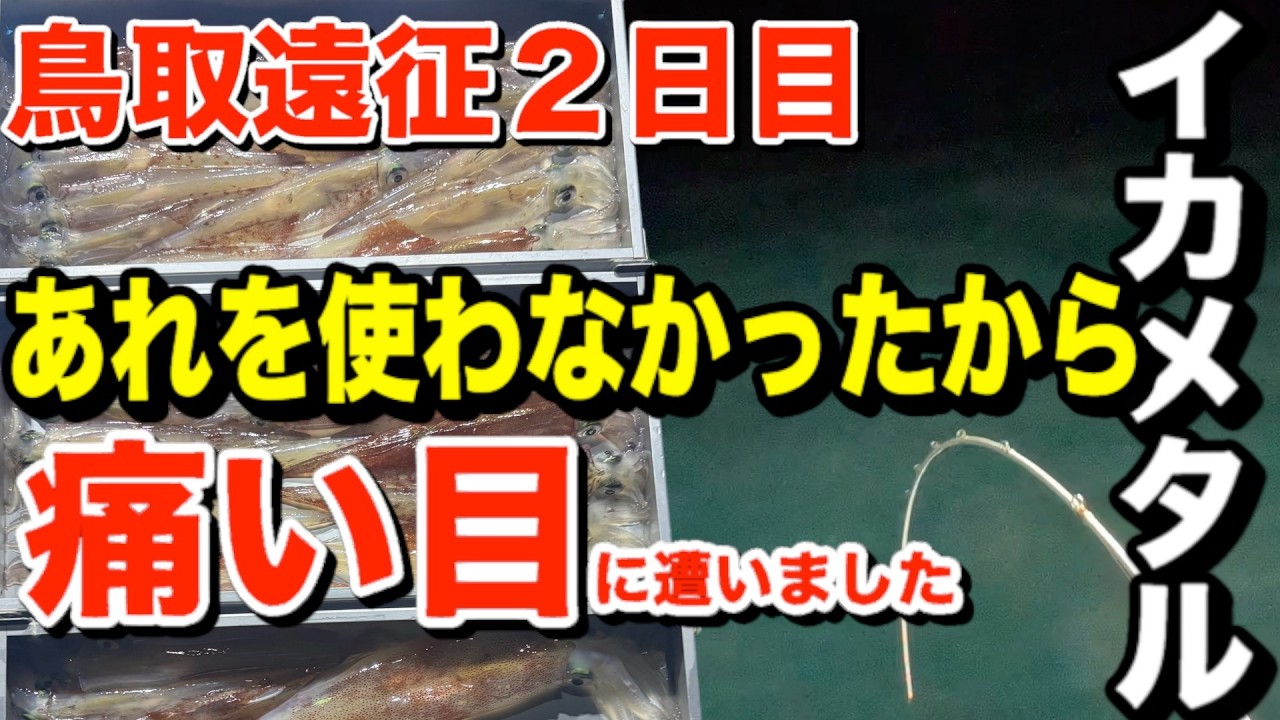 【イカメタル】時速３０杯オーバーの爆発力！鳥取遠征２日目