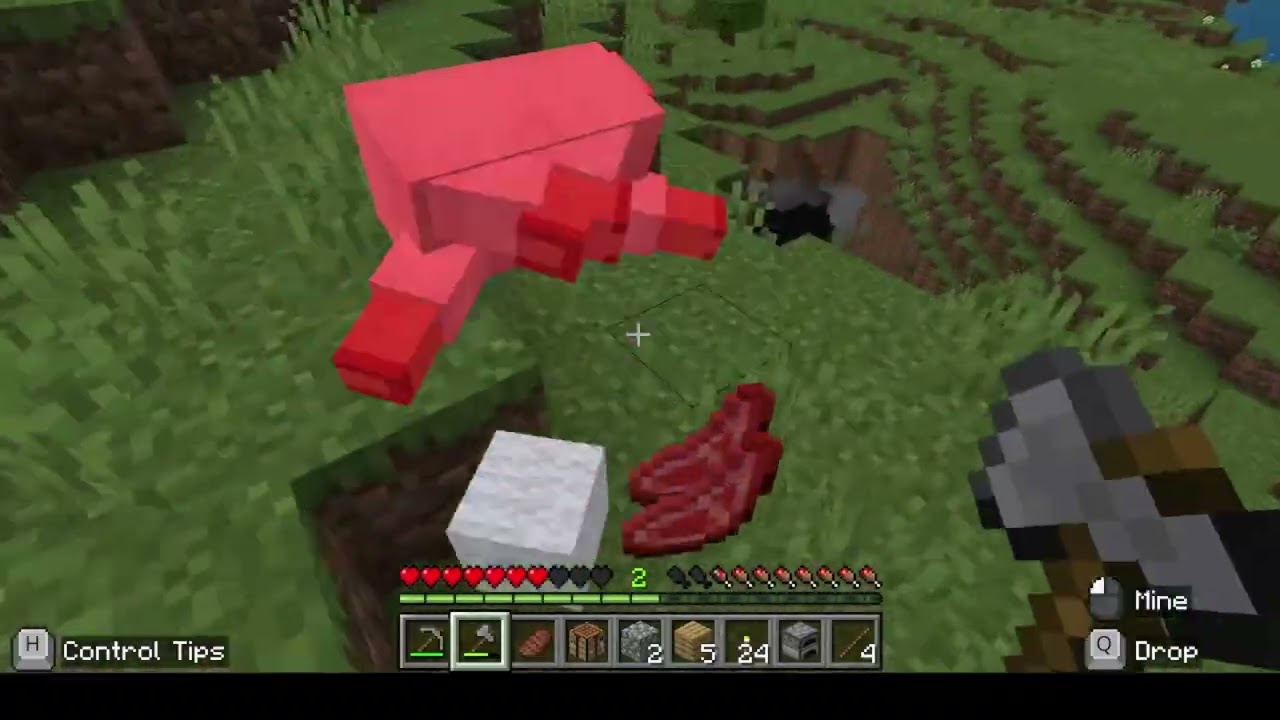 MINECRAFT???