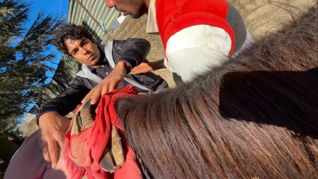 Pahadi Horse Riding