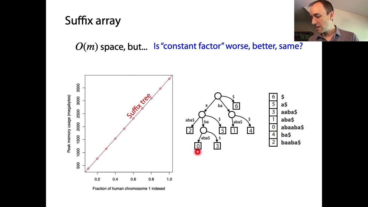 Suffix arrays: definition & size