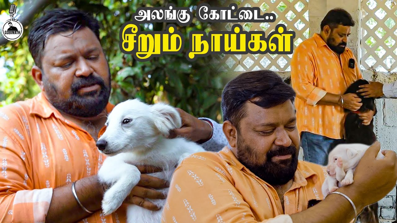 Vlog: அடேங்கப்பா இவ்வளவு நாட்டு நாய்களா? அசத்தும் அலங்கு கோட்டை | Gobinath