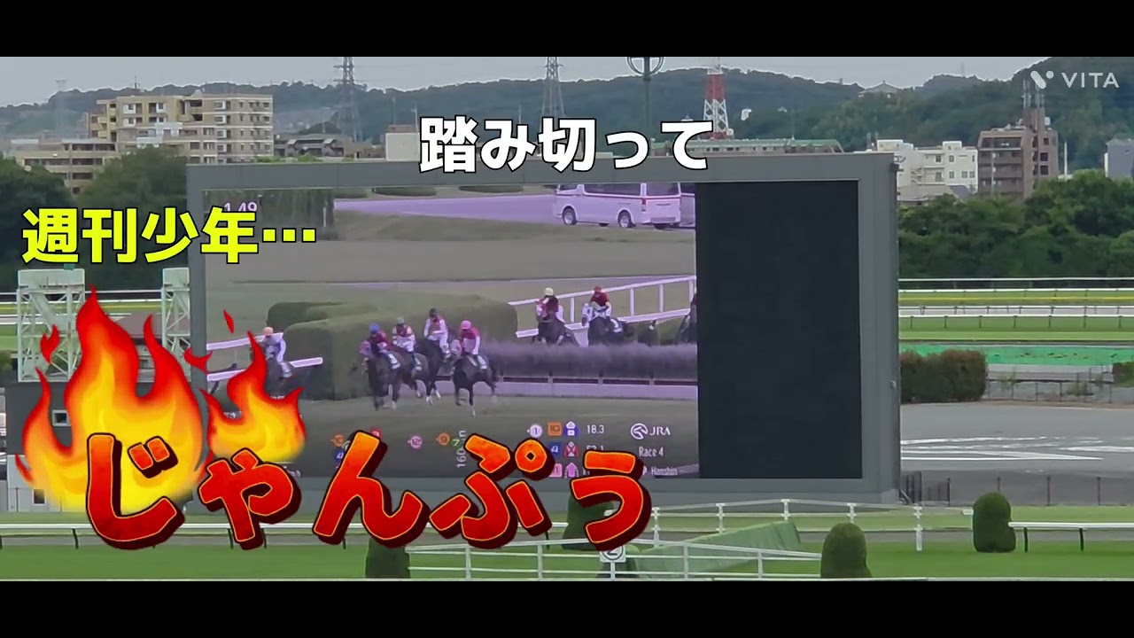 2026/09/19 パークウインズ東京 阪神ジャンプステークス(J・GⅢ) ジューンベロシティ(牡8) 、ホウオウプロサンゲ(牡5)が出走❗