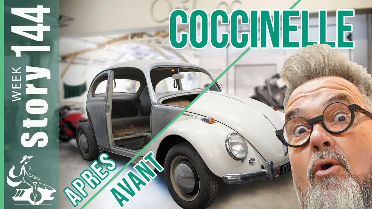 Bienvenue à Choupette, notre nouvelle Coccinelle ! 🎉 (WS144)