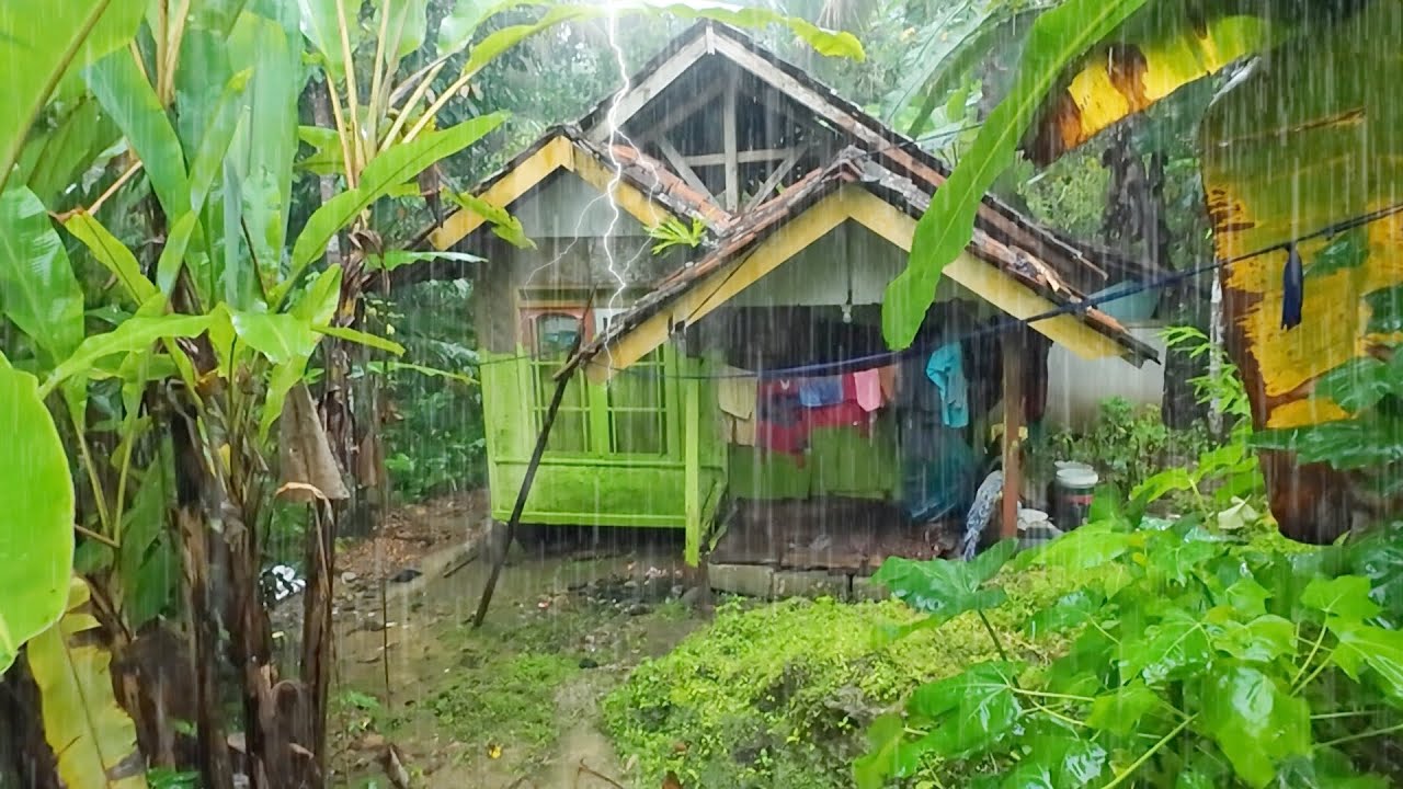 SUASANA PAGI YANG TENANG, TURUN HUJAN DAN KABUT DI KAMPUNG NAMBAH BETAH, PEDESAAN SUNDA JAWA BARAT