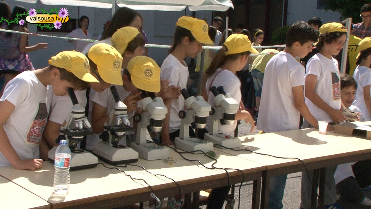 Dia do Agrupamento de Escolas de Lousada Oeste reuniu mais de 1500 alunos