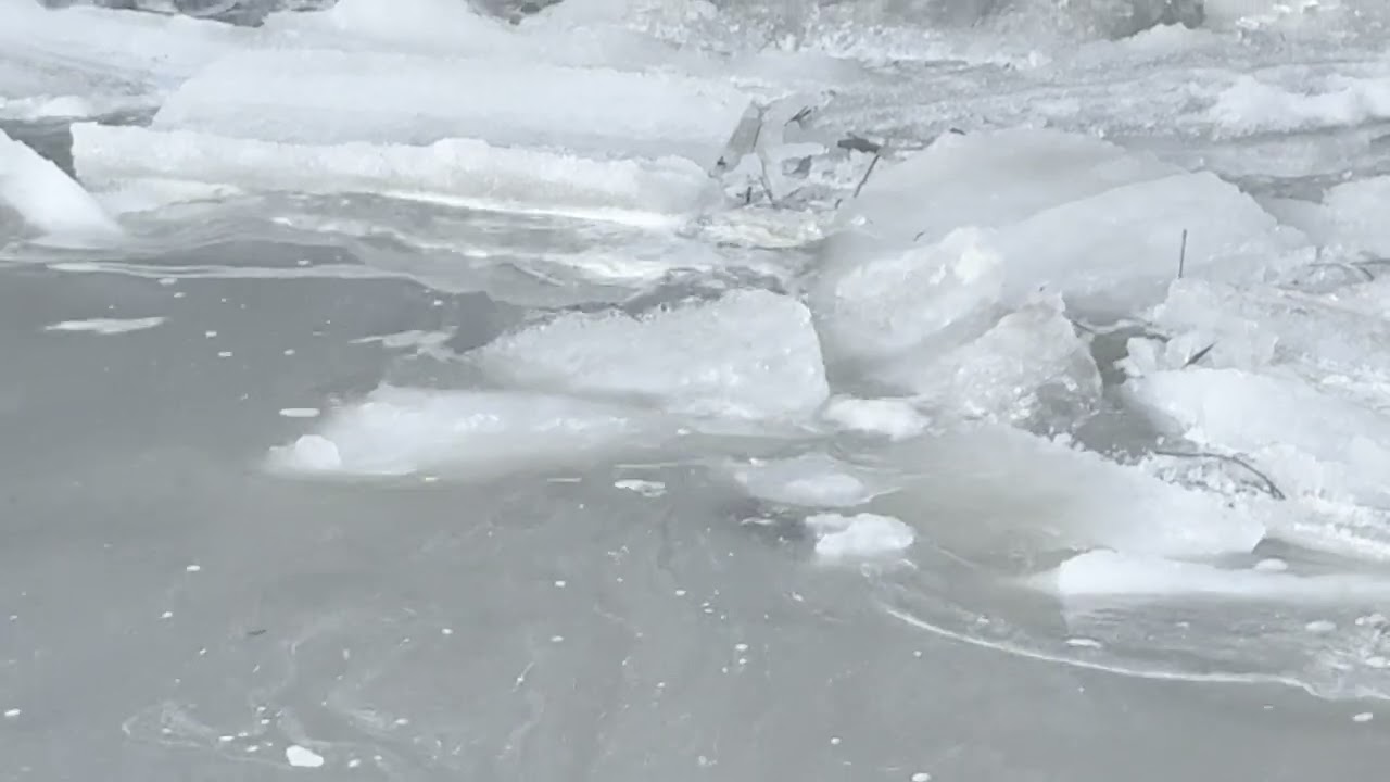 March 8, 2026 Ice Jam Ganaraska River Port Hope