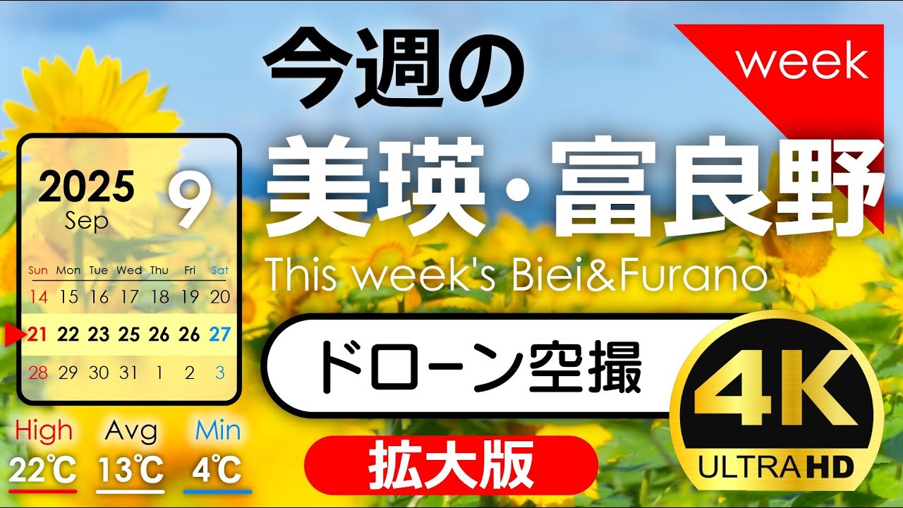 【今週の美瑛・富良野】青い池は緑の池だった！2025年9月第❸週｜季節の風景を発信中！北海道アーカイブ